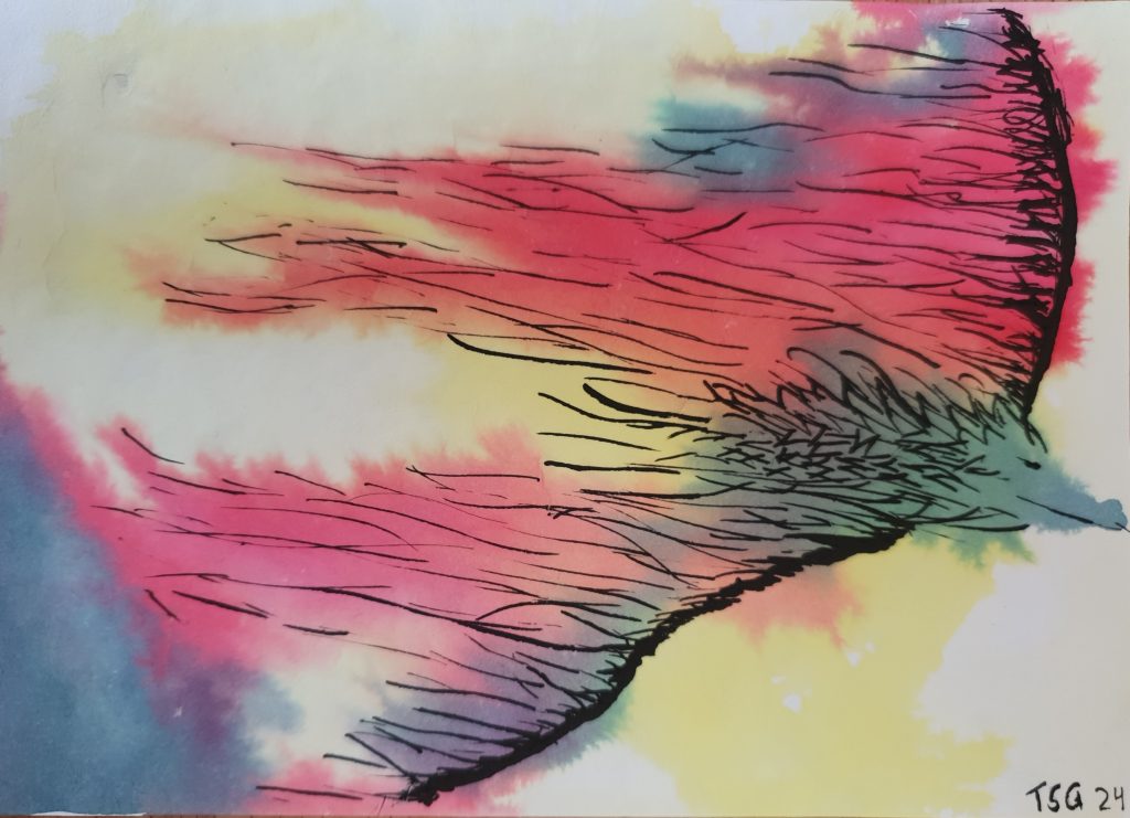 Vuurvogel
